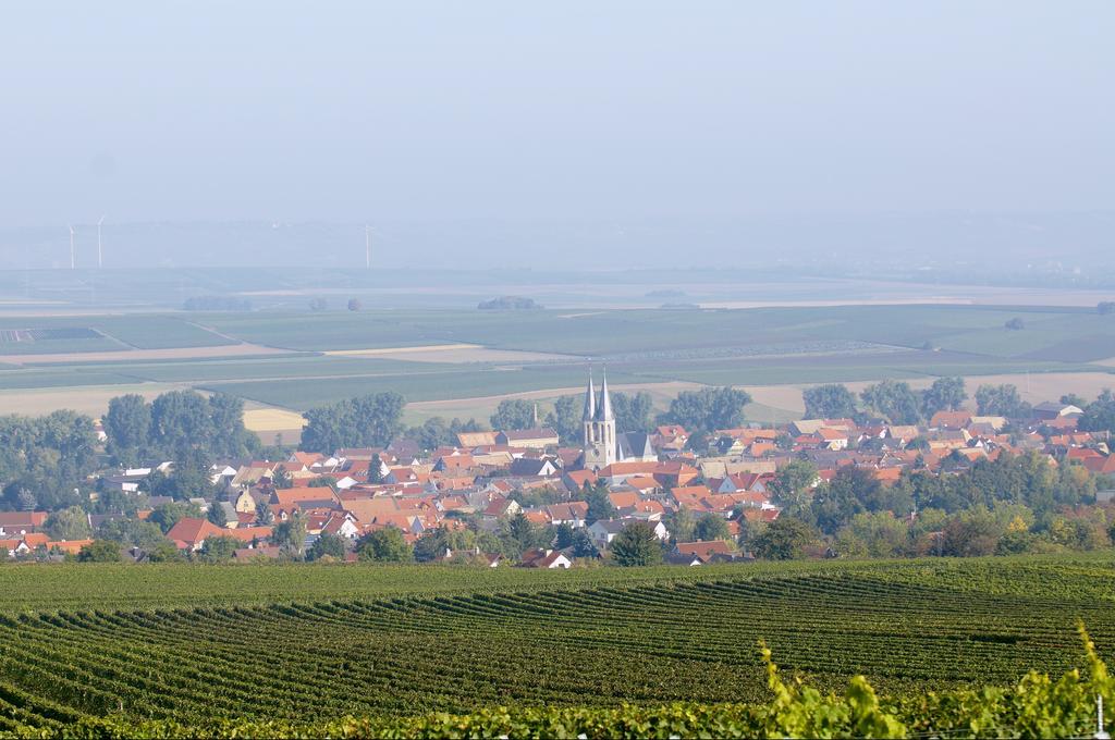 Dohlmuehle Hotel & Weingut Flonheim Exterior photo