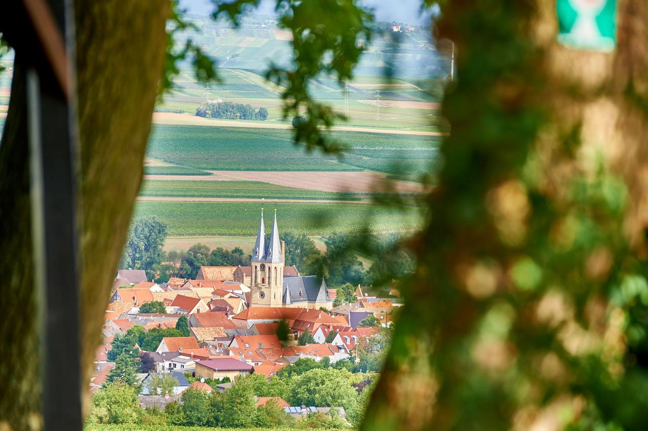 Dohlmuehle Hotel & Weingut Flonheim Exterior photo